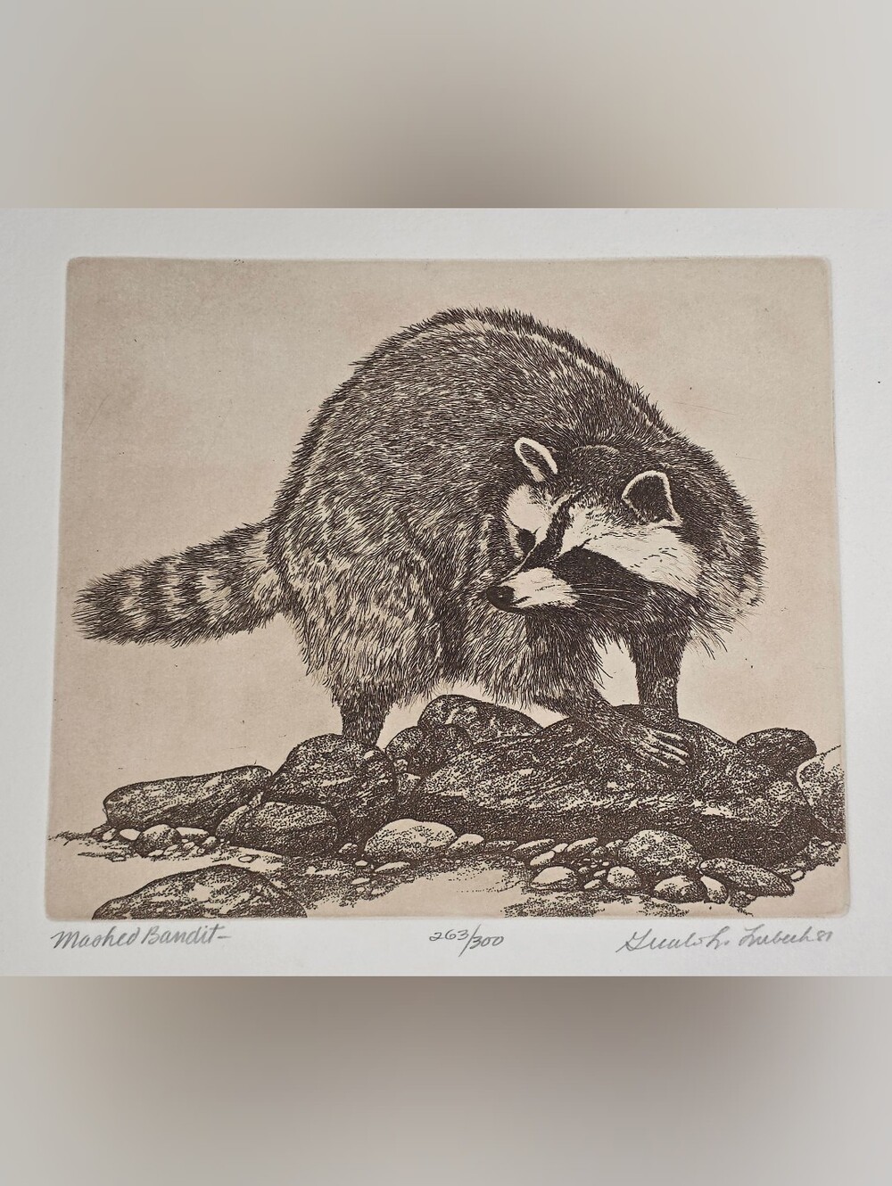 Gualo H. Lubeck “Masked Bandit” Limited Edition Raccoon Etching Signed 263/300